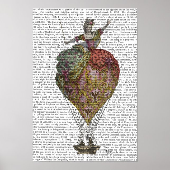 Poster Femme de ballon à air chaud (Devant)