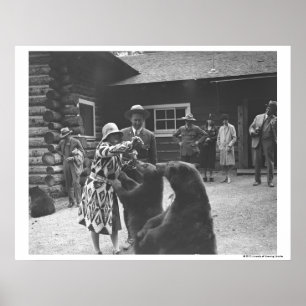 Poster Femme qui nourrit des ours.