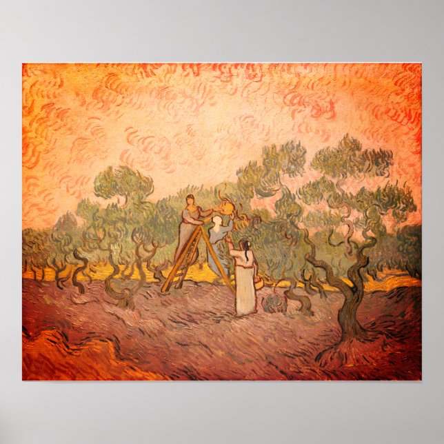 Poster Femmes cueillant des olives par van Gogh : (Devant)