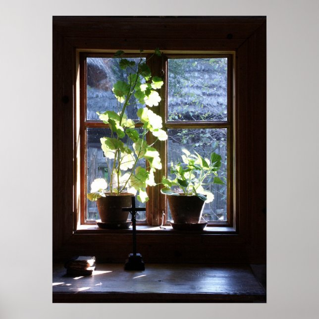 Poster Fenêtre (Devant)