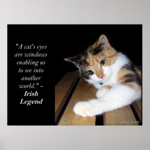 Poster Fenêtre de plots réflectorisés à un autre monde