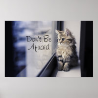 Fenêtre Kitten regardant vers l'extérieur