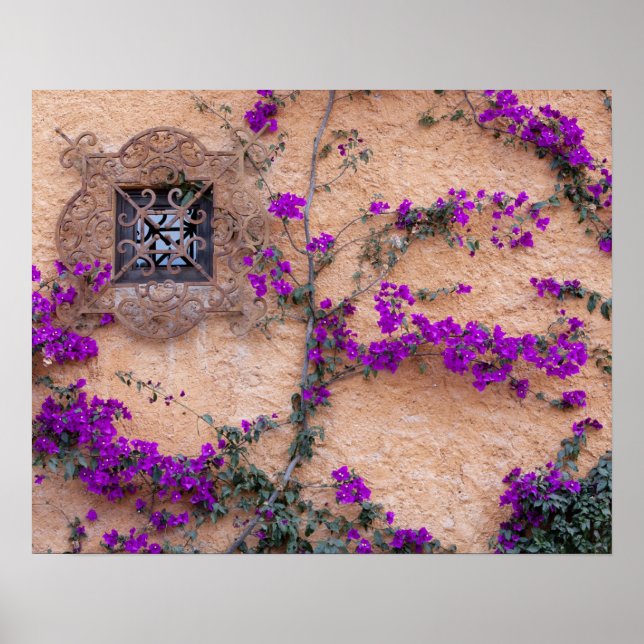 Poster Fenêtre ornementale avec bougainvilliers (Devant)