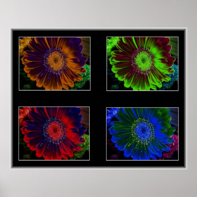 Poster Fenêtres florales (Devant)