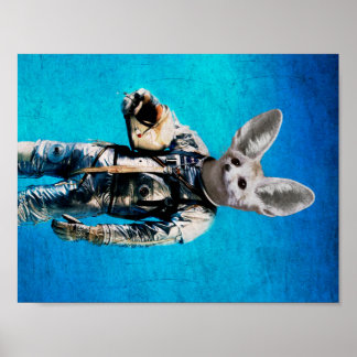 Poster Fennec le capitaine