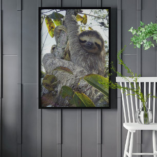 Poster Fente à trois doigts