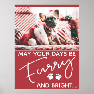 Poster Fer Noël rouge avec photo et pattes blanches
