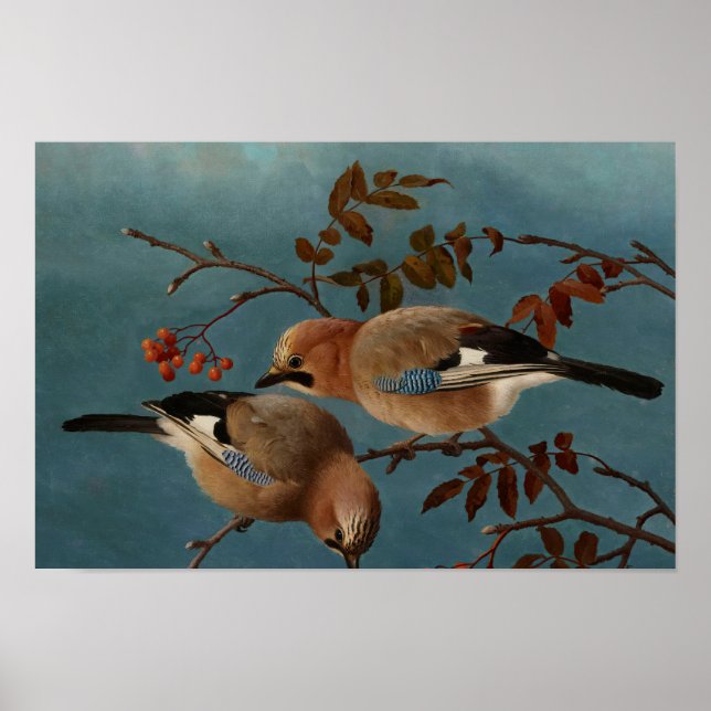 Poster Ferdinand von Wright - Jays (Devant)