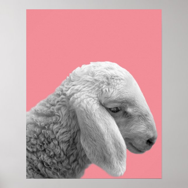 Poster Ferme à moutons photo pépinière salle pour enfants (Devant)