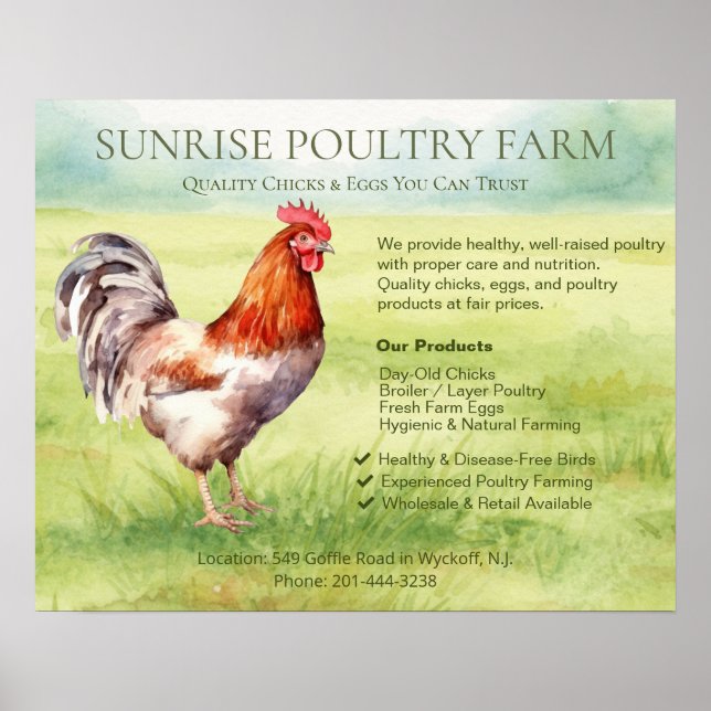 Poster Ferme de poulets  (Devant)