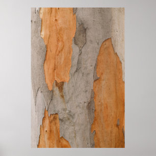 Poster Fermer la photo du tronc d'arbre