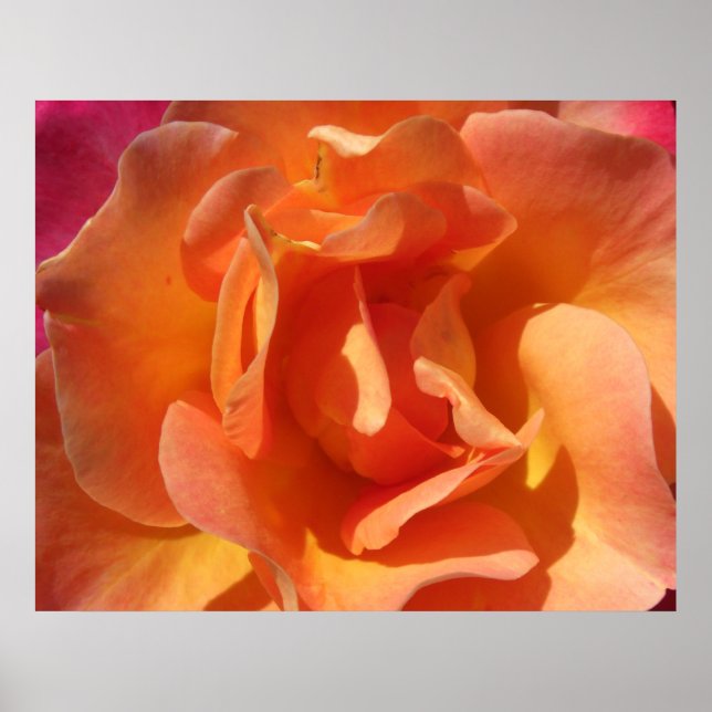 Poster Fermer le rose (Devant)