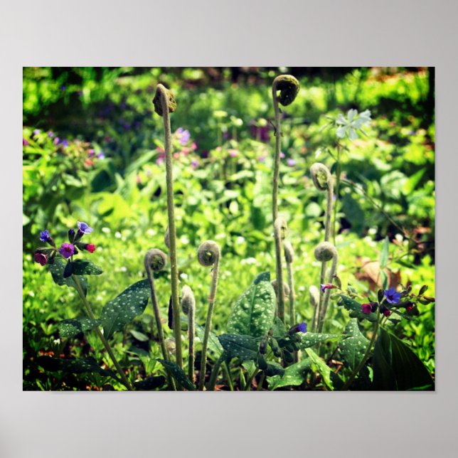 Poster Fermes À Tête Dorsale Et Fleurs De Printemps (Devant)