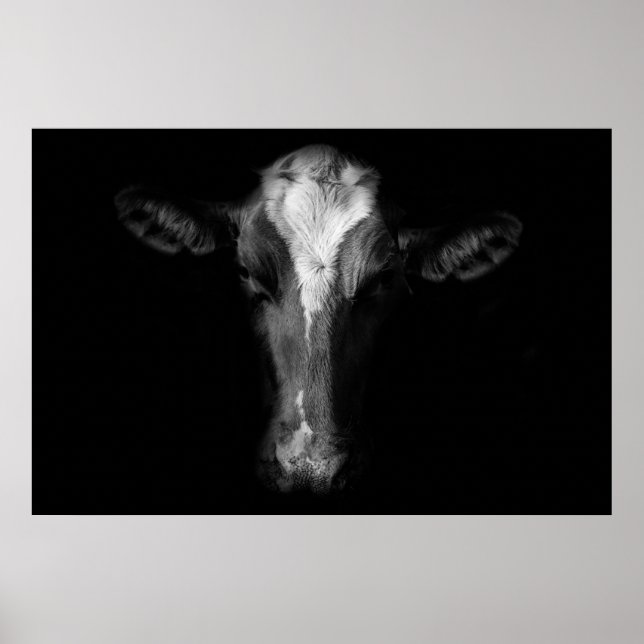 Poster Fermes | Tête de vache B&W (Devant)