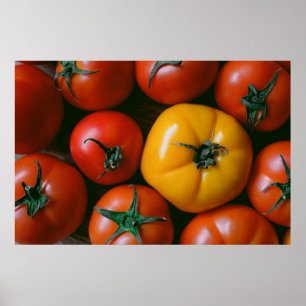 Poster Fermes   Tomates rouges et jaunes brillantes