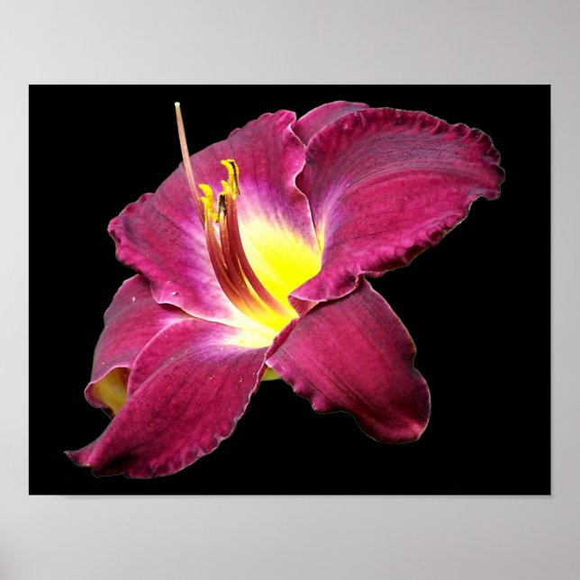 Poster Fermeture de la fleur quotidienne (Devant)
