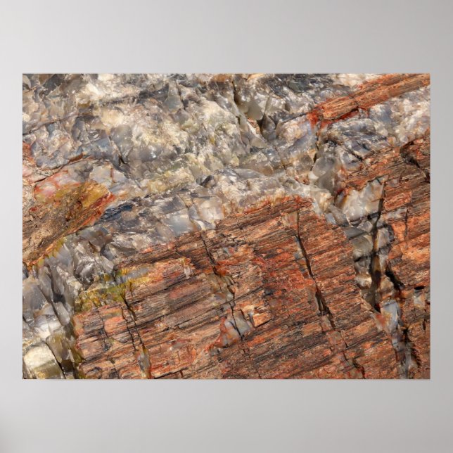 Poster Fermeture du journal pétrifié I (Devant)