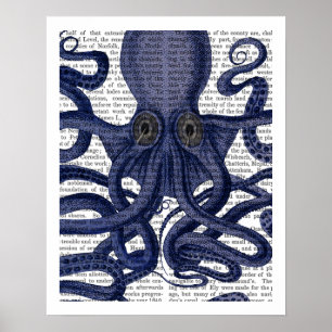 Poster Fermeture octopus