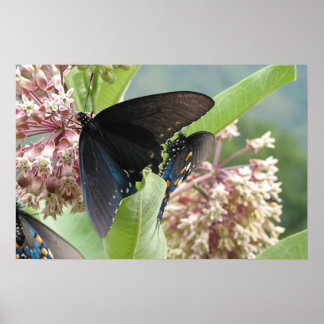 Poster Fermez Beauté sur la promenade Blue Ridge.