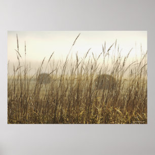 Poster Fermez-vous de la photographie de blé