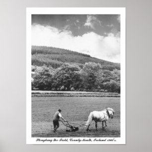 Poster Fermier et charrue à cheval, Irlande des années 60