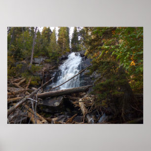 Poster Fern Falls au parc national Rocky Mountain