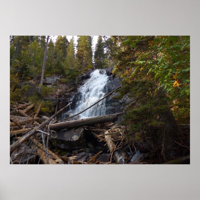 Poster Fern Falls au parc national Rocky Mountain (Devant)