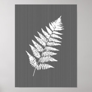 Poster Fern Frond, Blanc sur Gris de Charbon / Gris