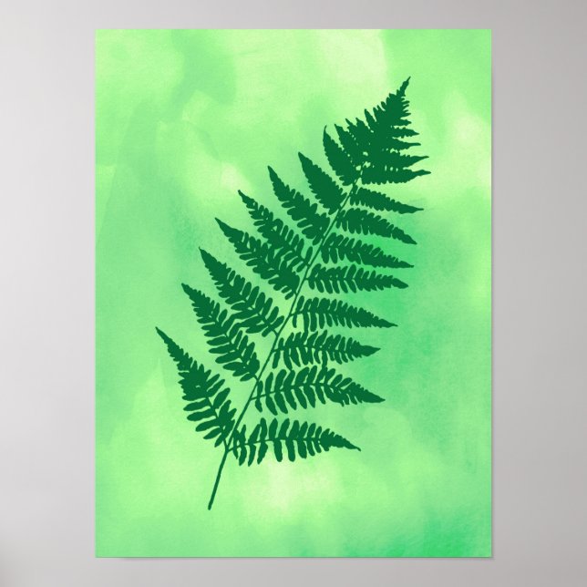 Poster Fern Frond, Vert sur une Aquarelle Arrière - plan  (Devant)