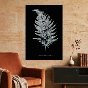 Poster Fern - Gymnogramma Ochracea - Effet rayons X - 02