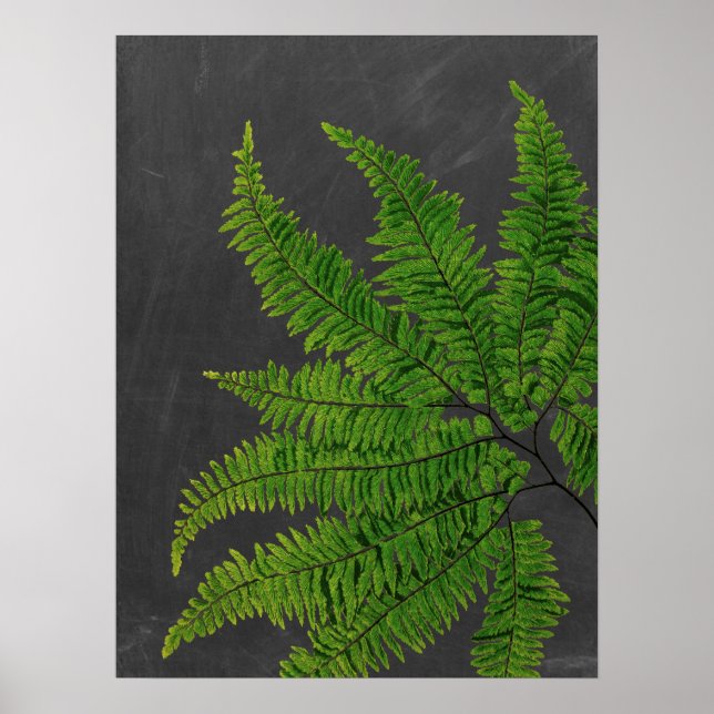Poster Ferne avec Arrière - plan Chalkboard no 5 (Devant)