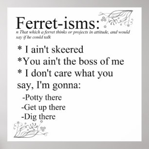 Poster Ferret-isms & Sayings Imprimer