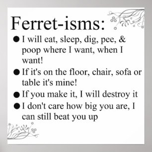Poster Ferret-isms & Sayings Imprimer