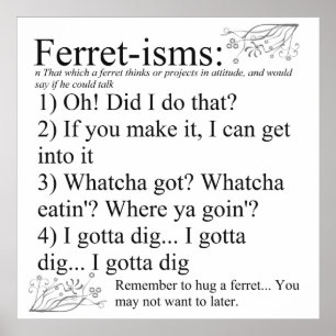 Poster Ferret-isms & Sayings Imprimer pour les amateurs d
