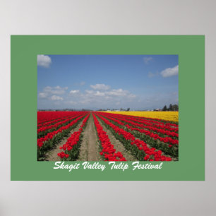 Poster Festival de tulipe, festival de tulipe de vallée
