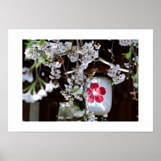 Poster Festival des fleurs de cerisier : Kyoto