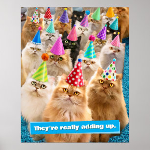 Poster Fête de chats