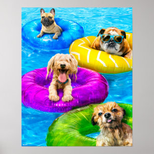 Poster Fête de chien dans la piscine