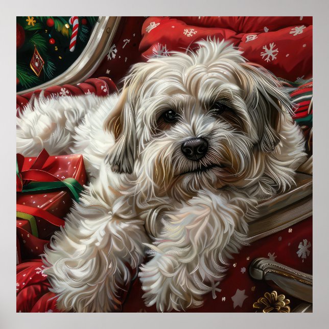 Poster Fête de Noël de Chien Havanais (Devant)