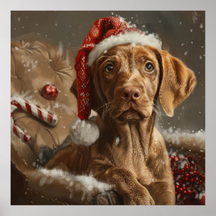Poster Fête de Noël de Chien Vizsla