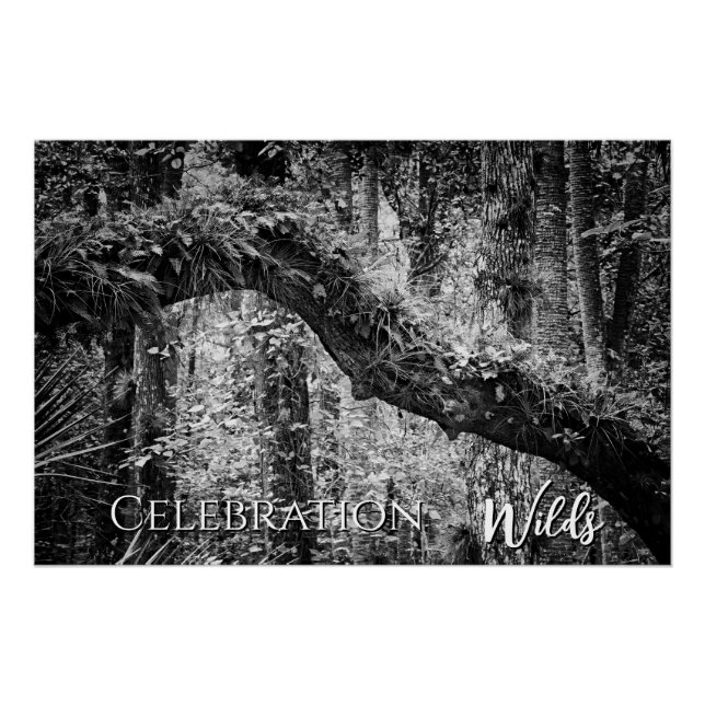 Poster Fête Wilds (Devant)