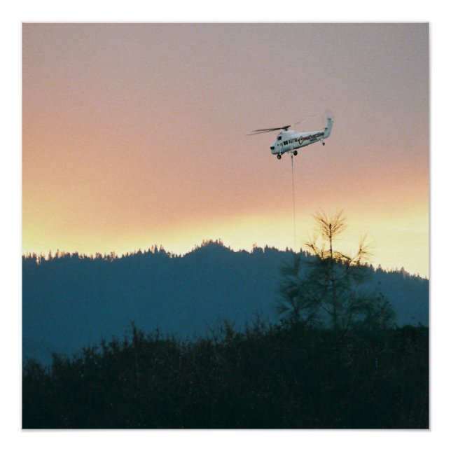 Poster Feu de Wallows de 2007... (Devant)