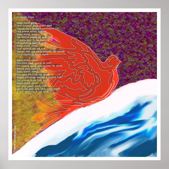 Poster Feu d'oiseaux (Devant)