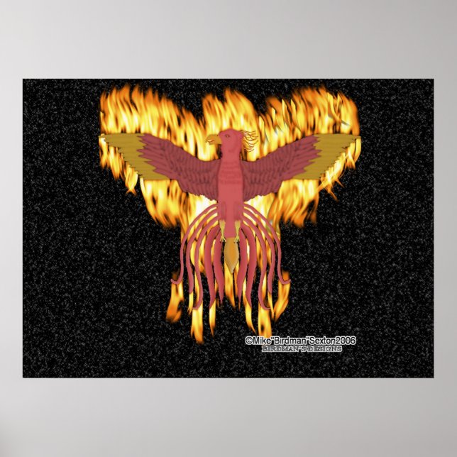 Poster Feu Phoenix (Devant)