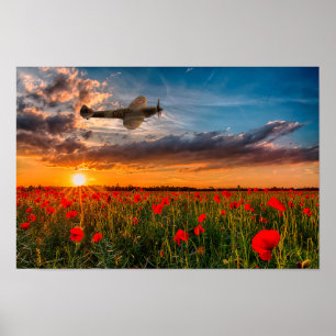 Poster Feu Spitfire