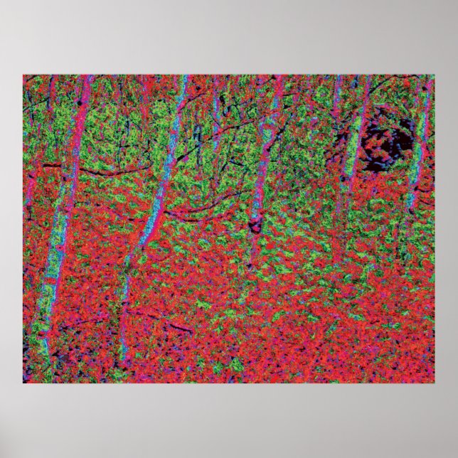 Poster Feuillage d5 (Devant)