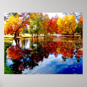 Poster Feuillage d'automne à l'étang