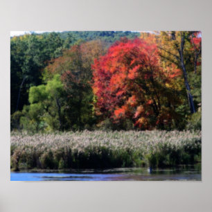 Poster Feuillage D'Automne Bordant Un Effet Orton De Mara