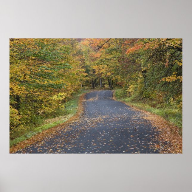Poster Feuillage d'automne côté route, Vermont Sud, États (Devant)