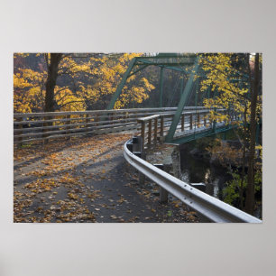 Poster Feuillage d'automne et un pont sur les Millers